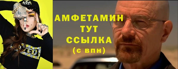 гидра Верхний Тагил